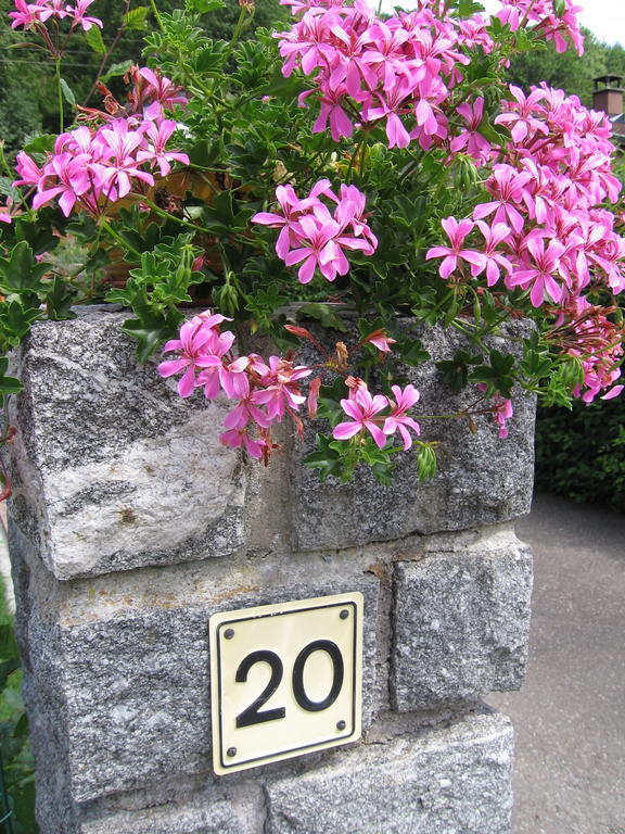 Gite Plein Sud Metzeral Exterior foto
